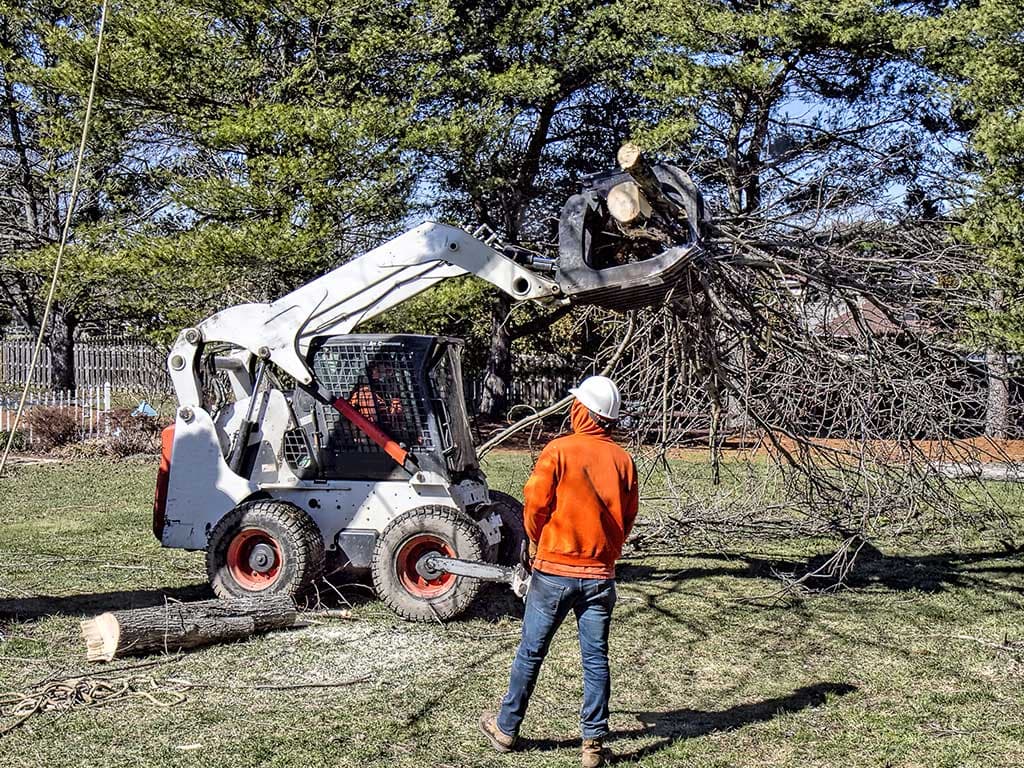 Arborist using EasyQuoteBot